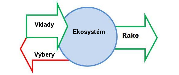 Pokrový ekosystém